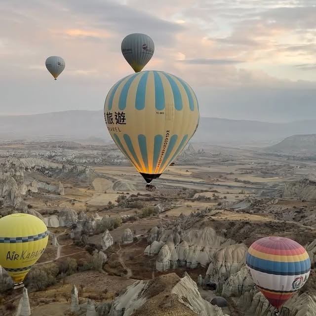  ......valdes   'recent posts' 