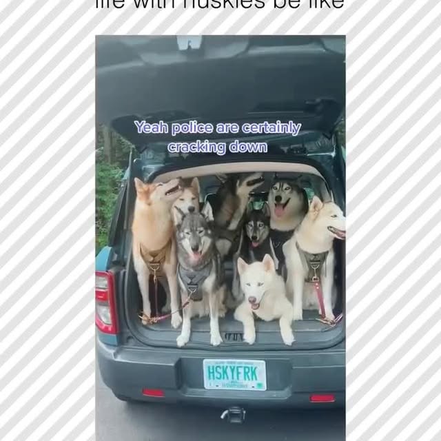  ......rposts   'recent posts' 