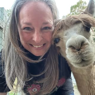 Hire .....lpaca influencer with 39.8k