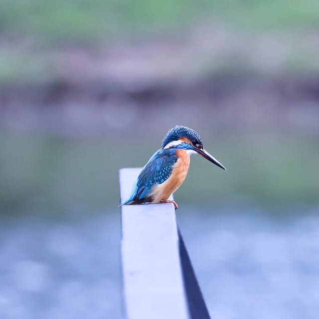  .....yland   'recent posts' 