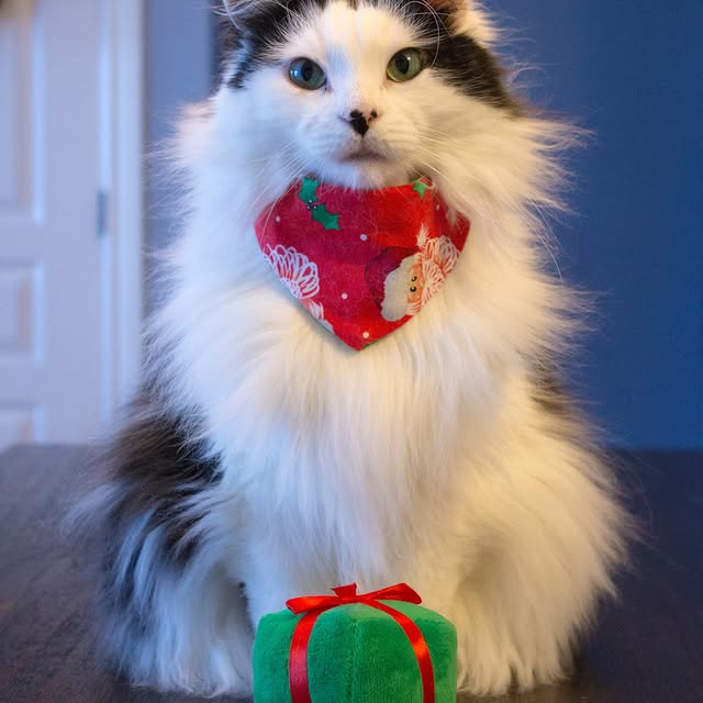  .........tofficial   'recent posts' 