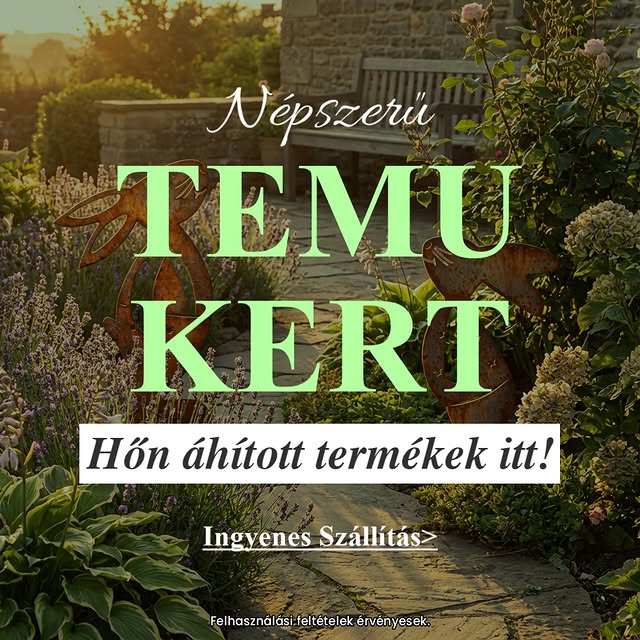  .......ataacha   'recent posts' 