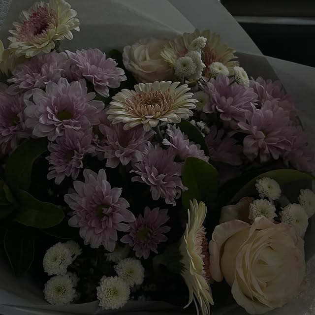  .......eliinaa_   'recent posts' 