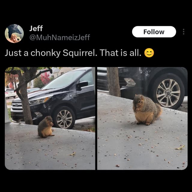  ............ttheinternet   'recent posts' 