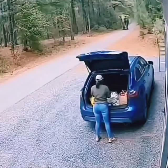  .....nly.ai   'recent posts' 