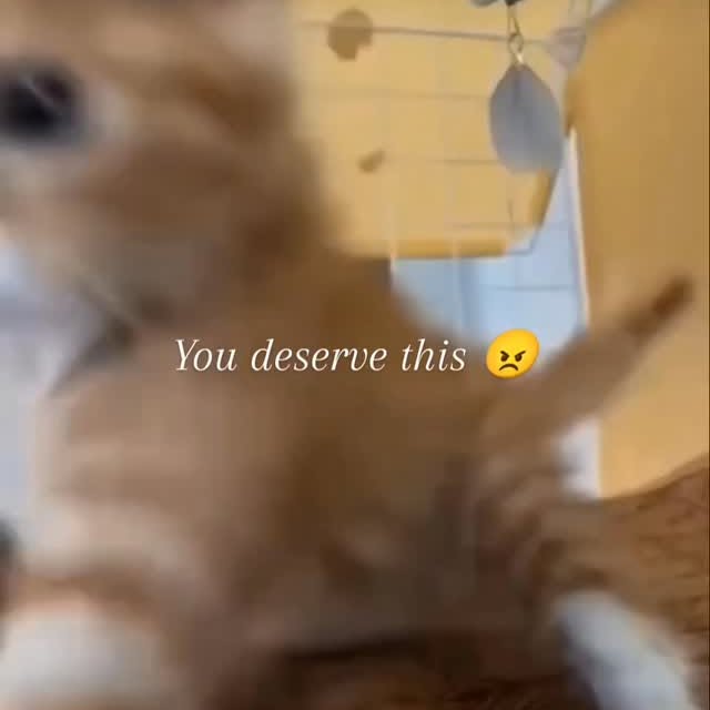  ......nd.kits   'recent posts' 