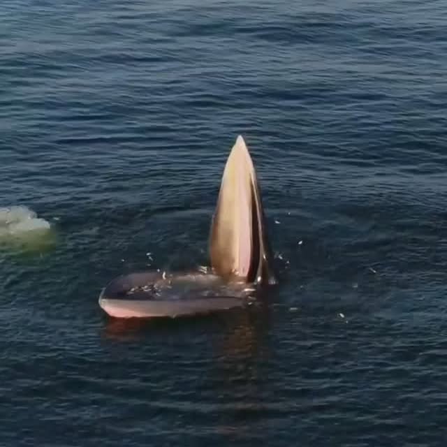  .......s.images   'recent posts' 