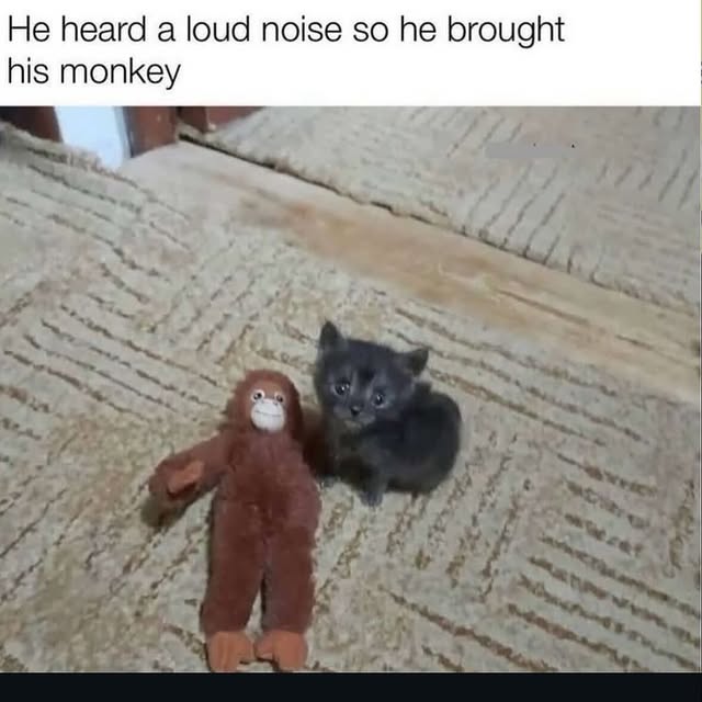  ............_not_existv2   'recent posts' 