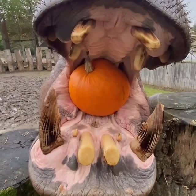  ........unlocked   'recent posts' 