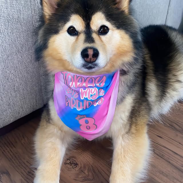  .....ykoda   'recent posts' 