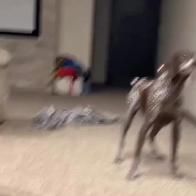  .......plorers   'recent posts' 