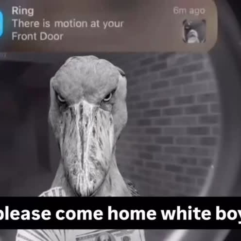  ..........rdoftheday   'recent posts' 