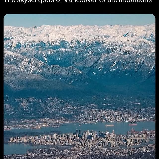  ......seviewz   'recent posts' 