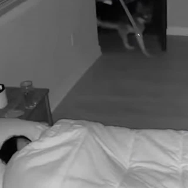  .....nly.ai   'recent posts' 