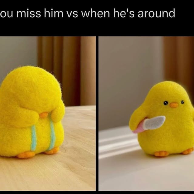  ........shipkink   'recent posts' 