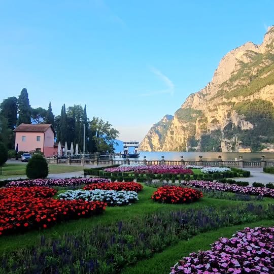  .......onavida   'recent posts' 