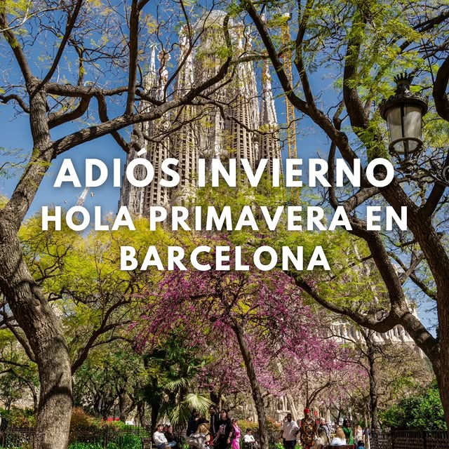  ........._barcelona   'recent posts' 