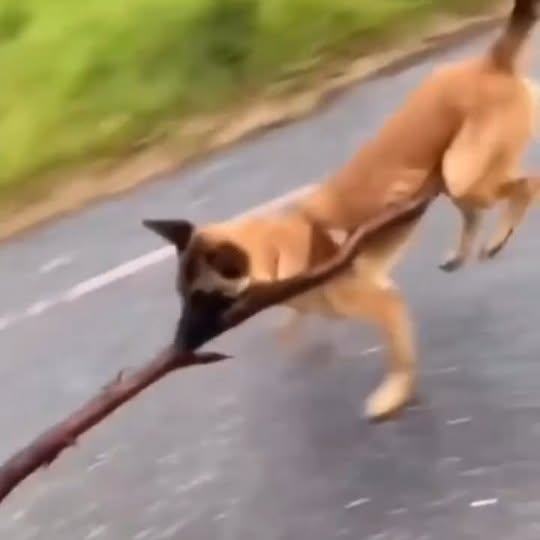  .....ibess   'recent posts' 