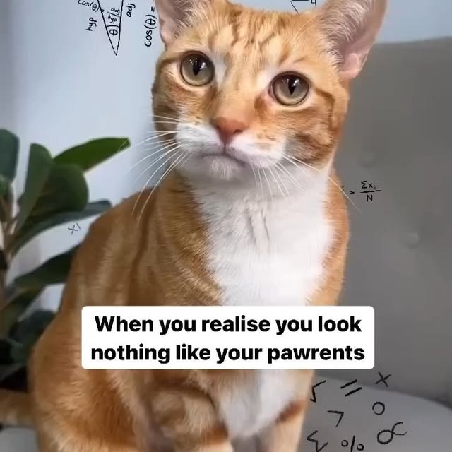  .....li9ht   'recent posts' 