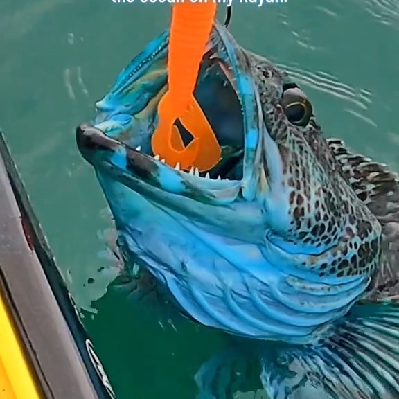  ...ral   'recent posts' 