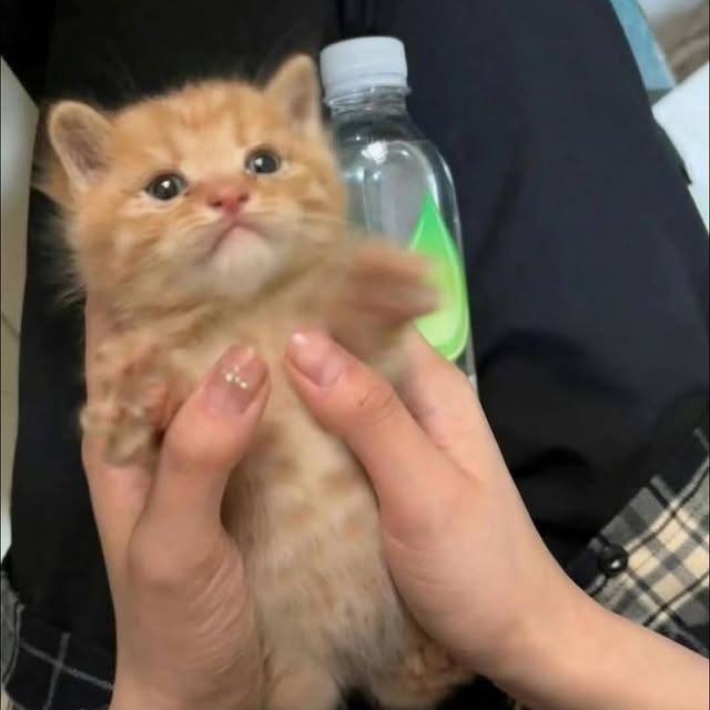  .......world.in   'recent posts' 