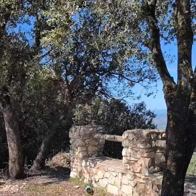  ........viajeros   'recent posts' 