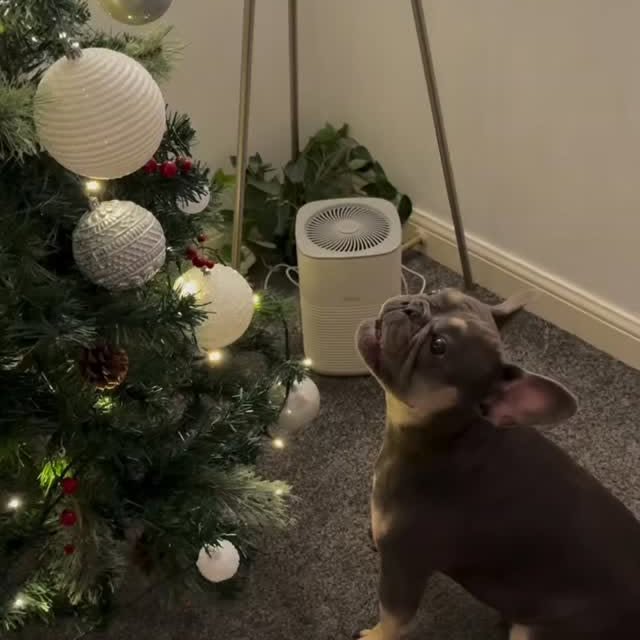  ..........ldogs_only   'recent posts' 