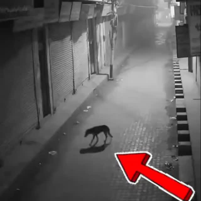  .....nly.ai   'recent posts' 