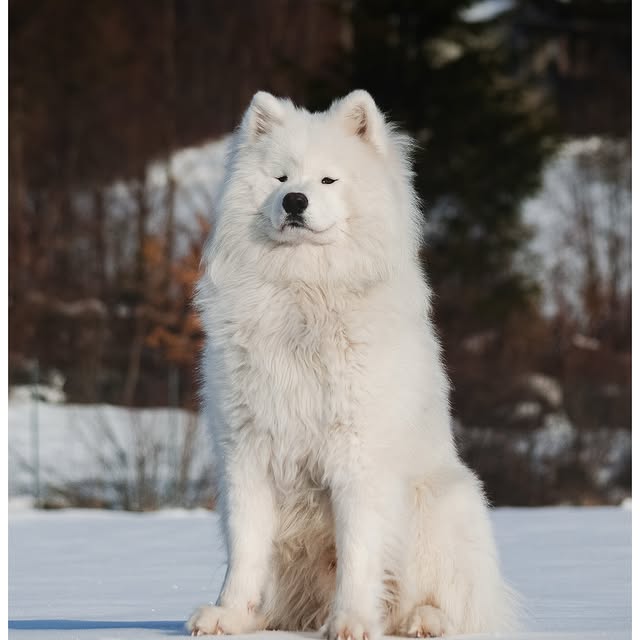  ........dventures   'recent posts' 