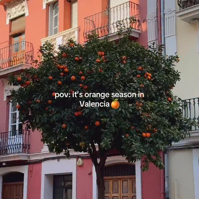  .......rfervor   'recent posts' 