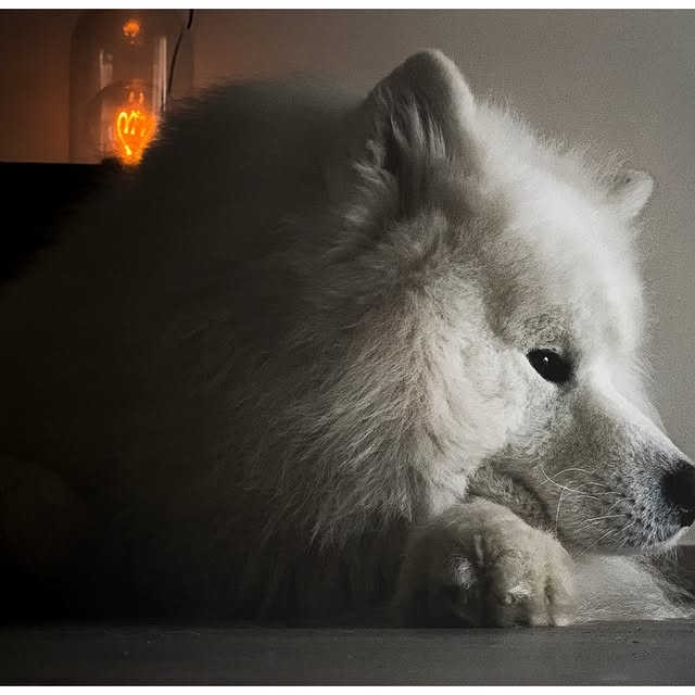  ........dventures   'recent posts' 