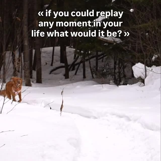  ......atoller   'recent posts' 