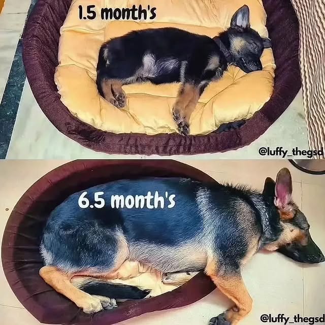  ....iming   'recent posts' 