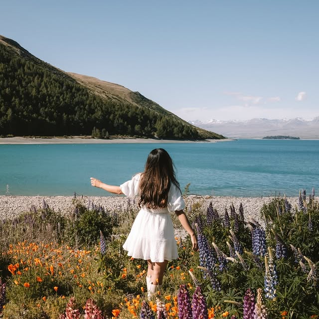  ..........altraveler   'recent posts' 