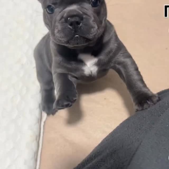  ..........ldogs_only   'recent posts' 