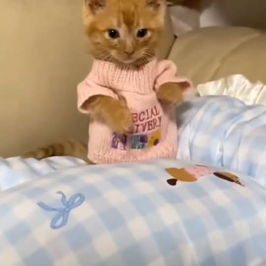  ......nd.kits   'recent posts' 