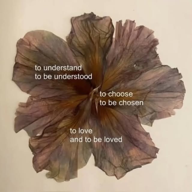  ......orcute   'recent posts' 