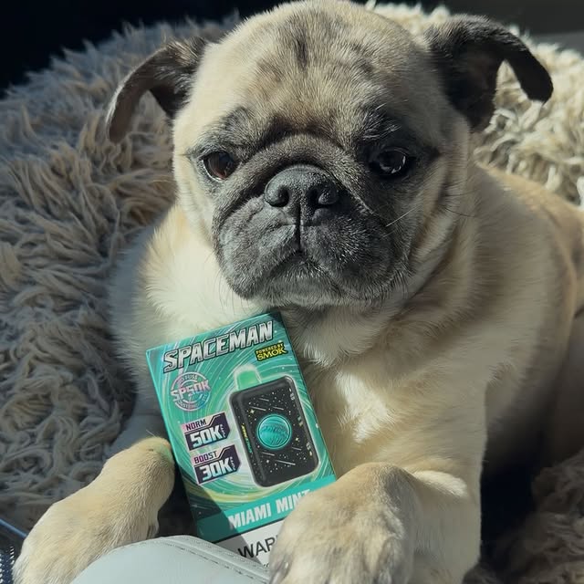  .....bber_   'recent posts' 