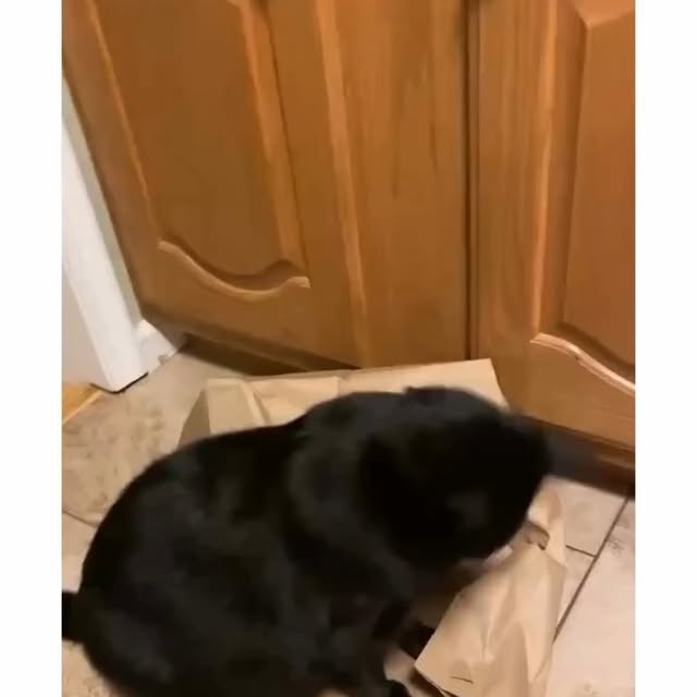  .....li9ht   'recent posts' 