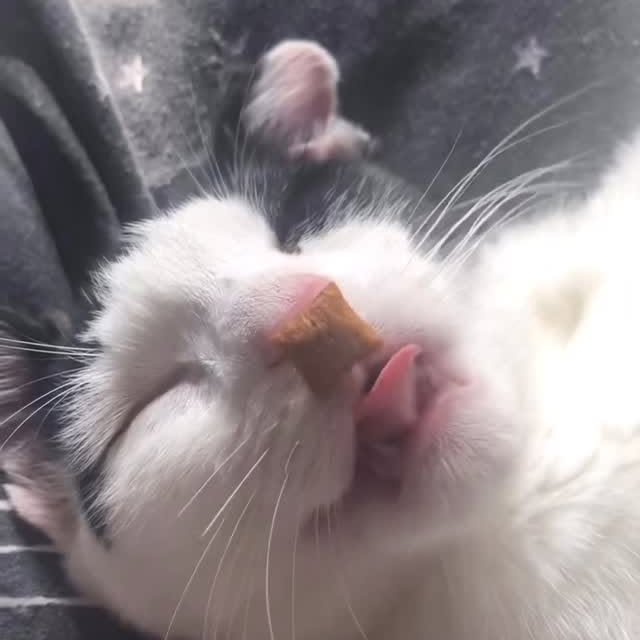  ...........irtonguesout   'recent posts' 