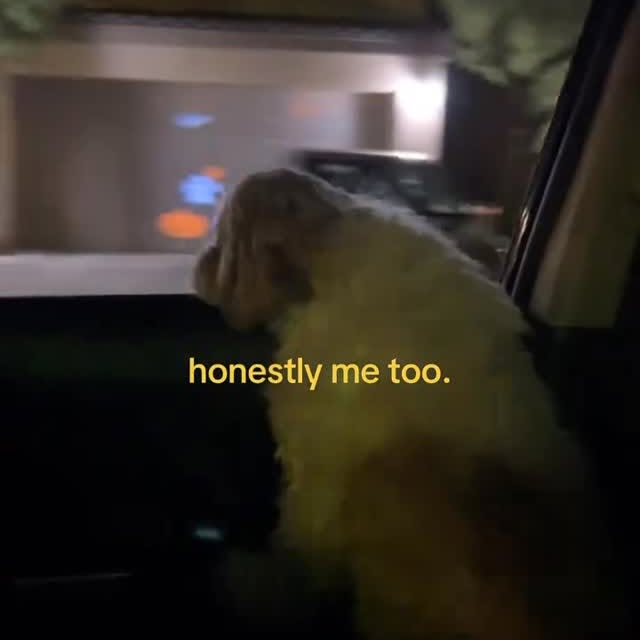  .......erdu2020   'recent posts' 