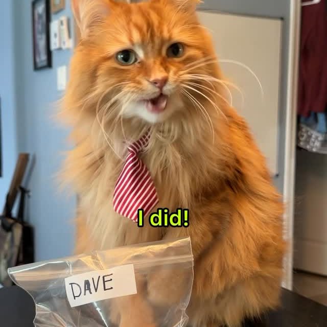  .........tofficial   'recent posts' 