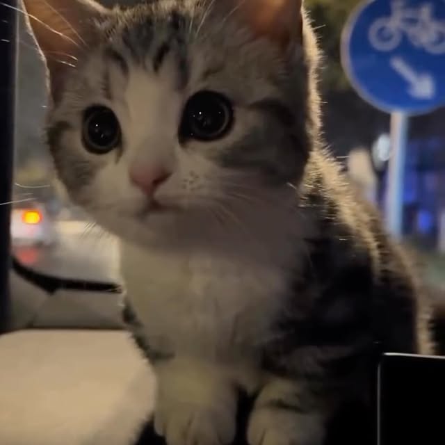  .....fweek   'recent posts' 