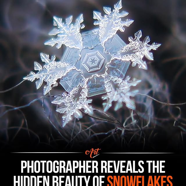  .....ervor   'recent posts' 