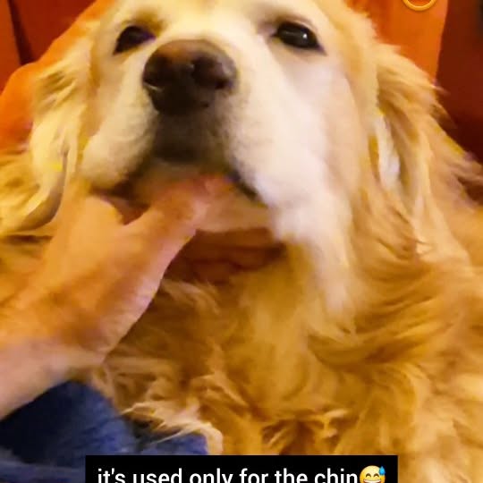  ..ps   'recent posts' 