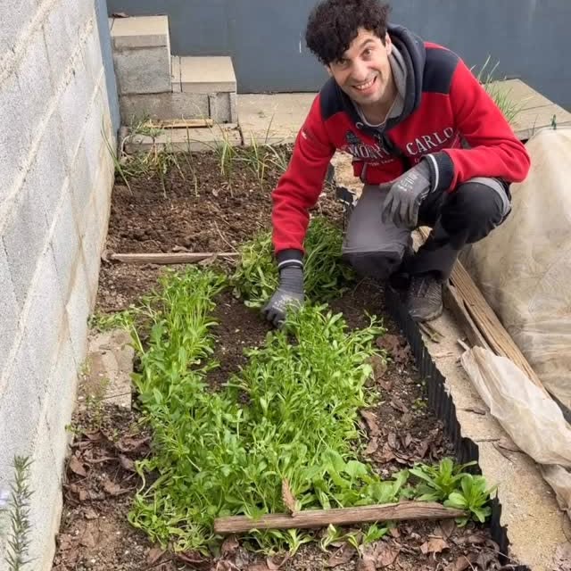  .......ficially   'recent posts' 