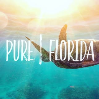 Hire .....lorida influencer with 491.6k