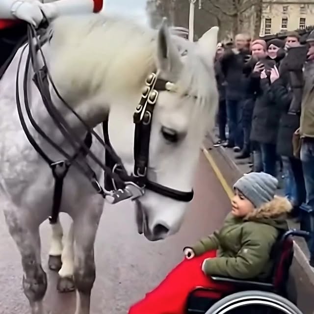  ......spirit   'recent posts' 