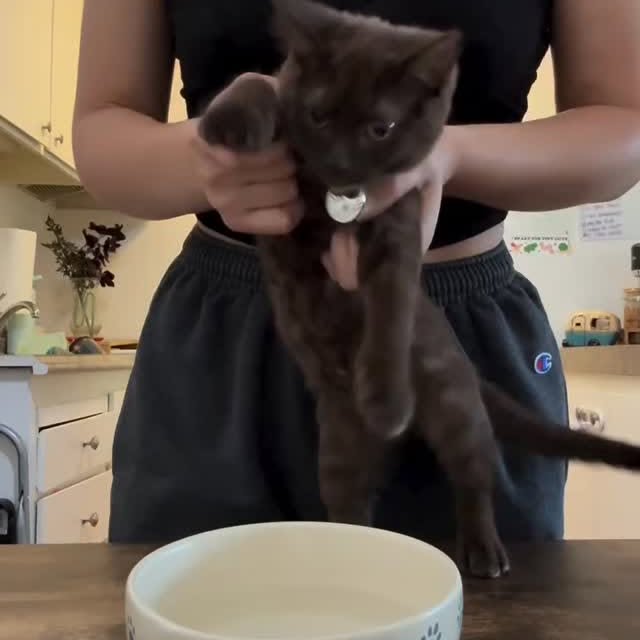  ......nd.kits   'recent posts' 