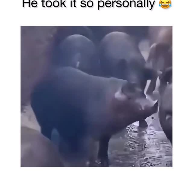  ........eos_fr_us   'recent posts' 